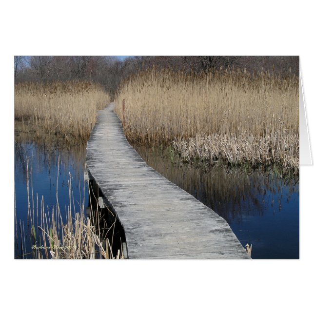 Sigue tu camino: Isla Plum, MAMÁES (Anverso (Horizontal))