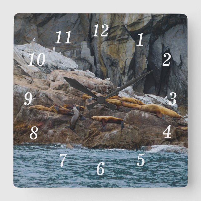 Siguiente reloj de pared en línea (Anverso)