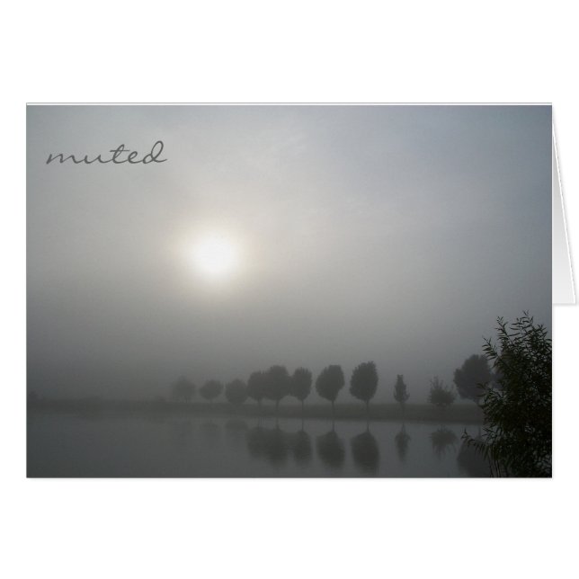 Silenciado (Anverso (Horizontal))