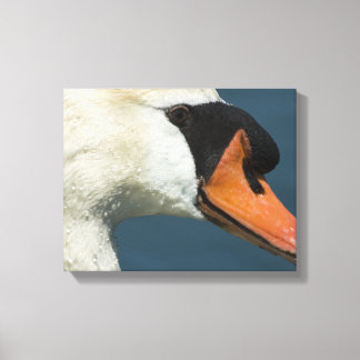 Silenciar cisne - Una impresión Bella Artes