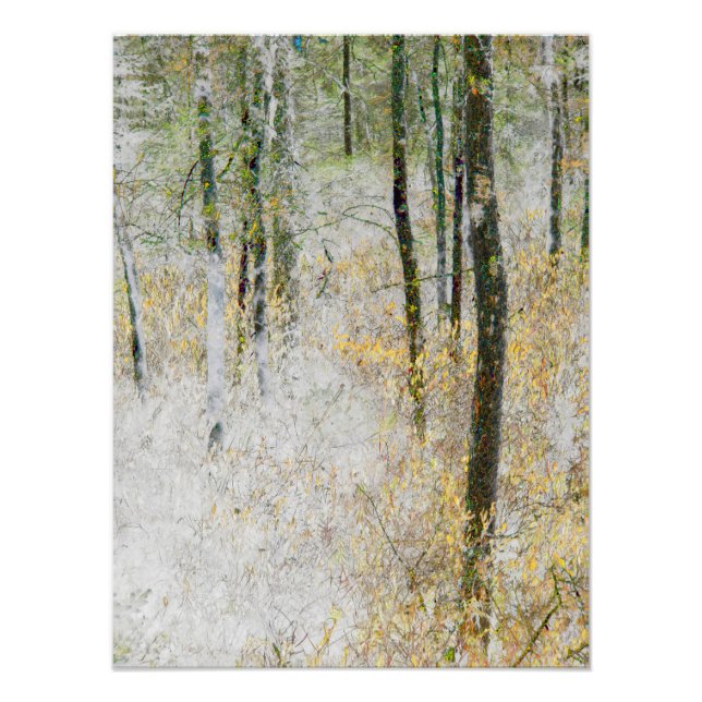 "Silencio" - Foto transformada de árboles en un bo (Frente)