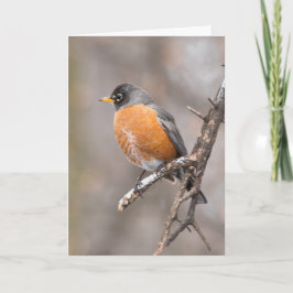 Silent se pregunta tarjeta de saludo en blanco Rob