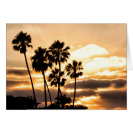 Silhouette Al Sol En San Diego