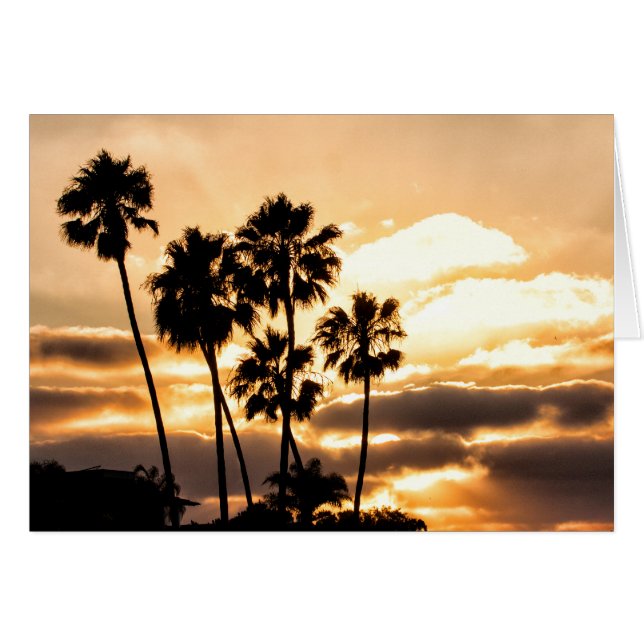 Silhouette Al Sol En San Diego (Anverso (Horizontal))