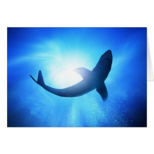Silhouette Deep Ocean Shark