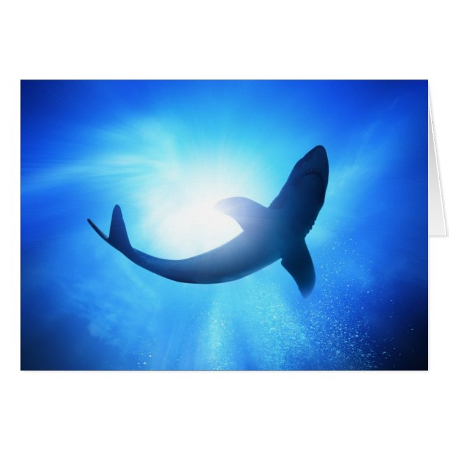 Silhouette Deep Ocean Shark (Anverso (Horizontal))
