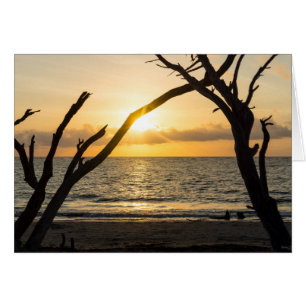 Silhouette del árbol de la salida del sol