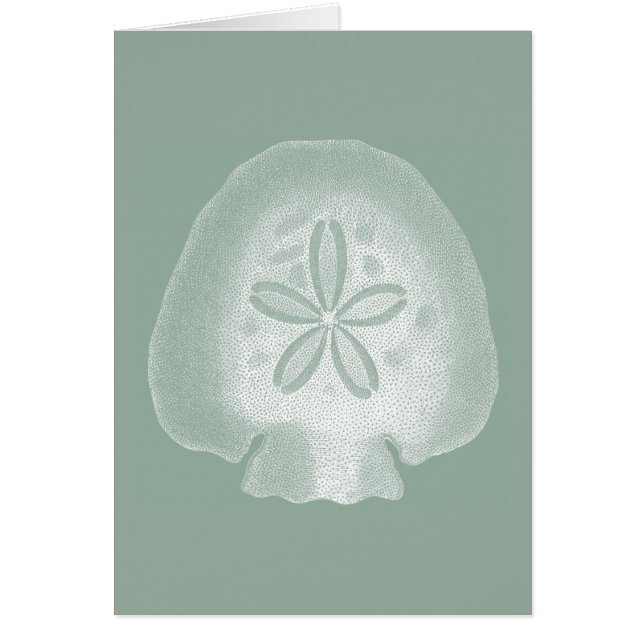 Silhouette Sand Dollar (Frente)