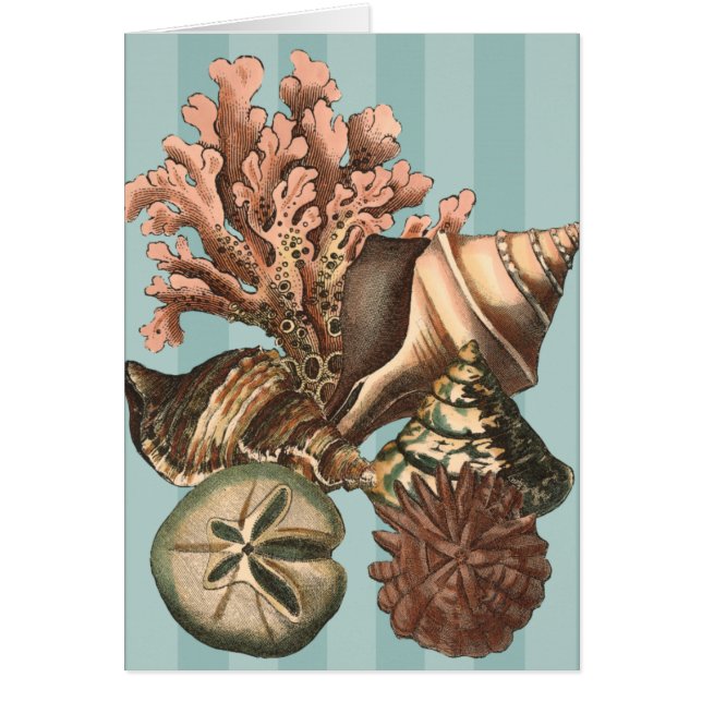 Silhouette Sea Life (Frente)