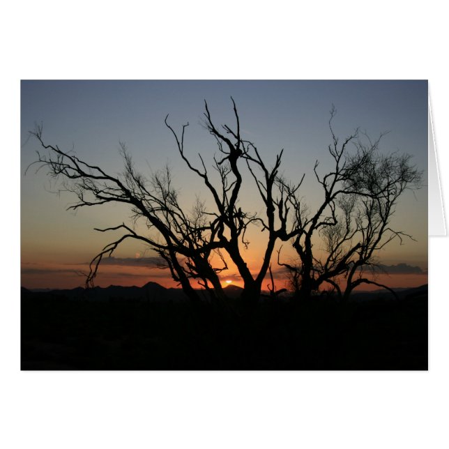 Silhouette Sunset (Anverso (Horizontal))