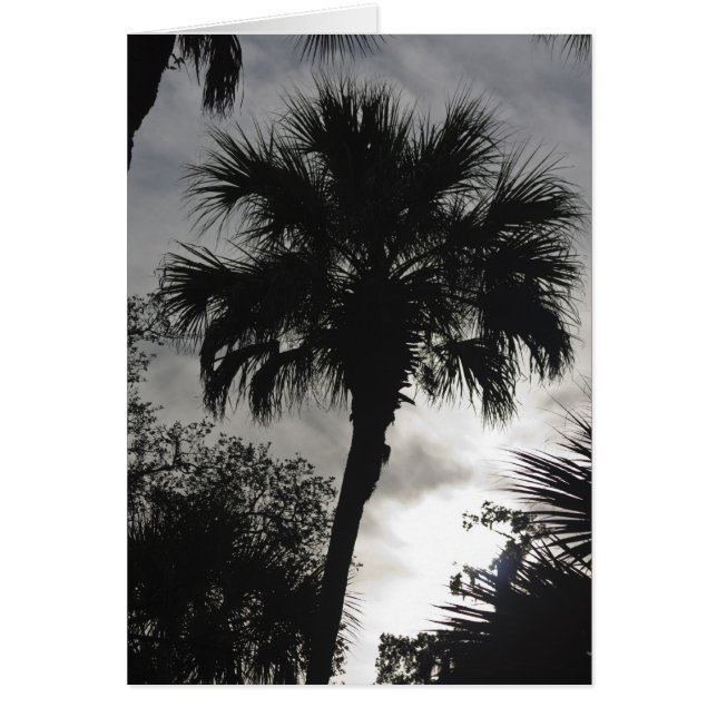 Silhouette tropical (Frente)