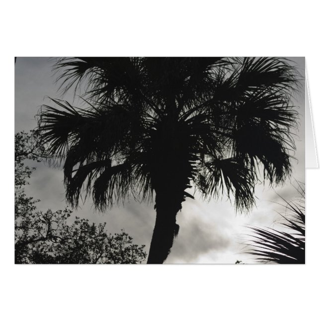 Silhouette tropical (Anverso (Horizontal))