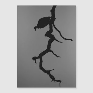 Silhouette Vulture