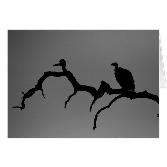 Silhouette Vulture (Anverso (Horizontal))