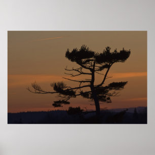Silhouettes En la impresión de arte fino del Dusk