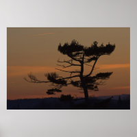 Silhouettes En la impresión de arte fino del Dusk