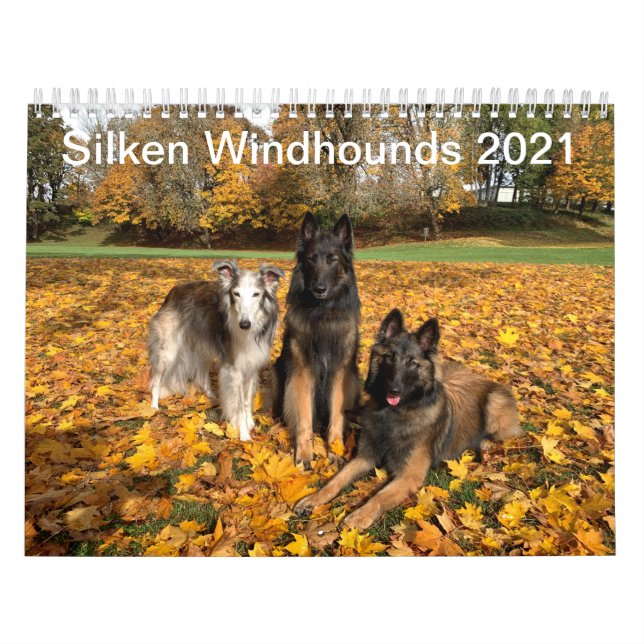 Silken Windhounds 2021 - Calendario de amigos (Tapa)