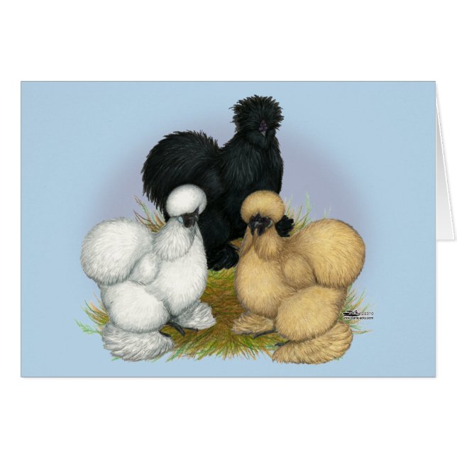 Silkie Trio (Anverso (Horizontal))