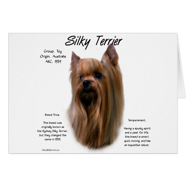 Silky Terrier History Design (Anverso (Horizontal))