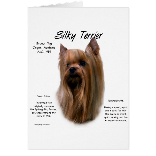 Silky Terrier History Design (Frente)