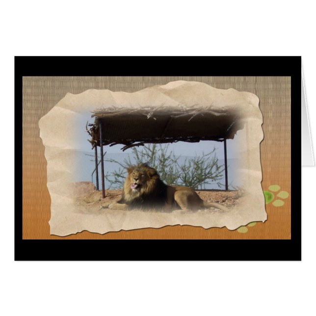 Silly Lion (Anverso (Horizontal))