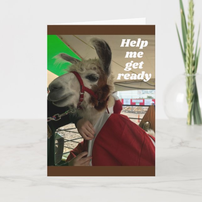 **SILLY LLAMA** DICE FELIZ TARJETA DE CUMPLEAÑOS (Anverso)