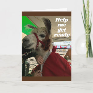 **SILLY LLAMA** DICE FELIZ TARJETA DE CUMPLEAÑOS