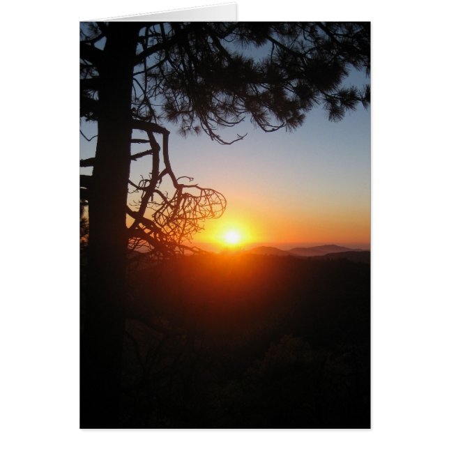 Silpuestas de sol 2 (Frente)