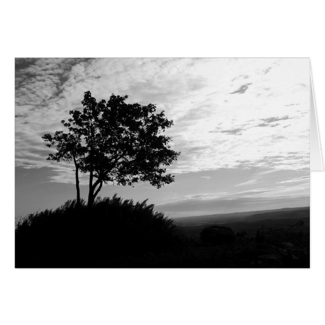 Silueta de árbol blanco y negro (Anverso (Horizontal))