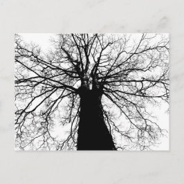 Silueta de árbol blanco y negro - postal