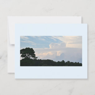 Silueta de árbol con postal de nubes