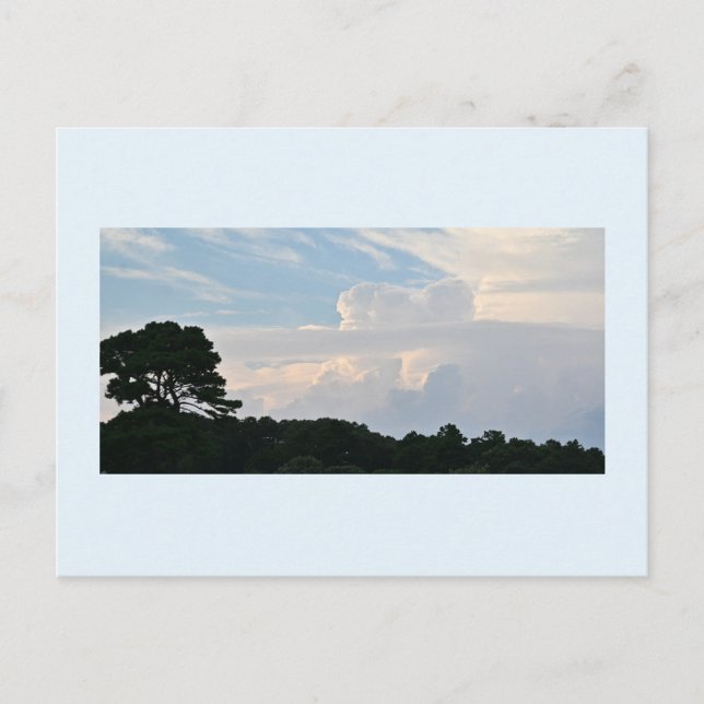 Silueta de árbol con postal de nubes (Anverso)