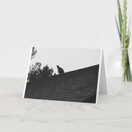 Silueta de buitre de Turquía, tarjeta