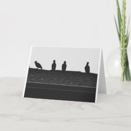 Silueta de buitre de Turquía, tarjeta