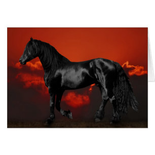 Silueta de caballo al atardecer