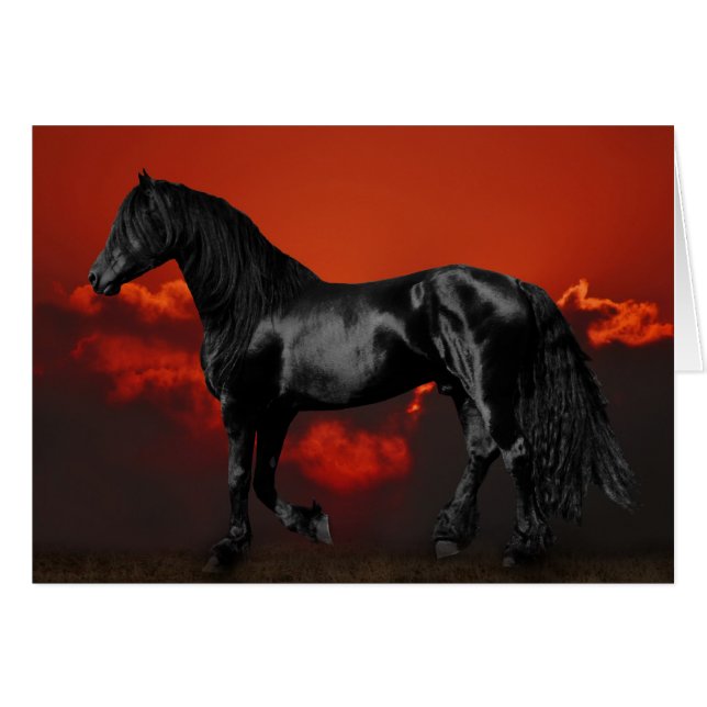 Silueta de caballo al atardecer (Anverso (Horizontal))