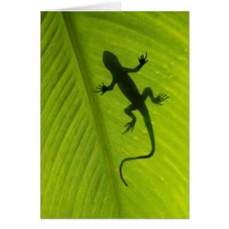 Silueta del Gecko