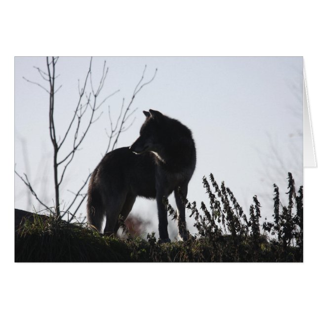 silueta del lobo (Anverso (Horizontal))