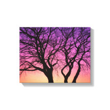 Siluetas de árbol en el atardecer - Impresión de l