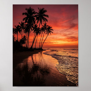 Siluetas de palmeras tropicales en el arte de la p