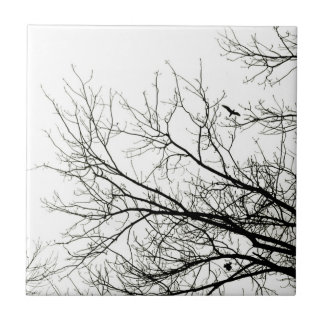 Siluetas del árbol - teja