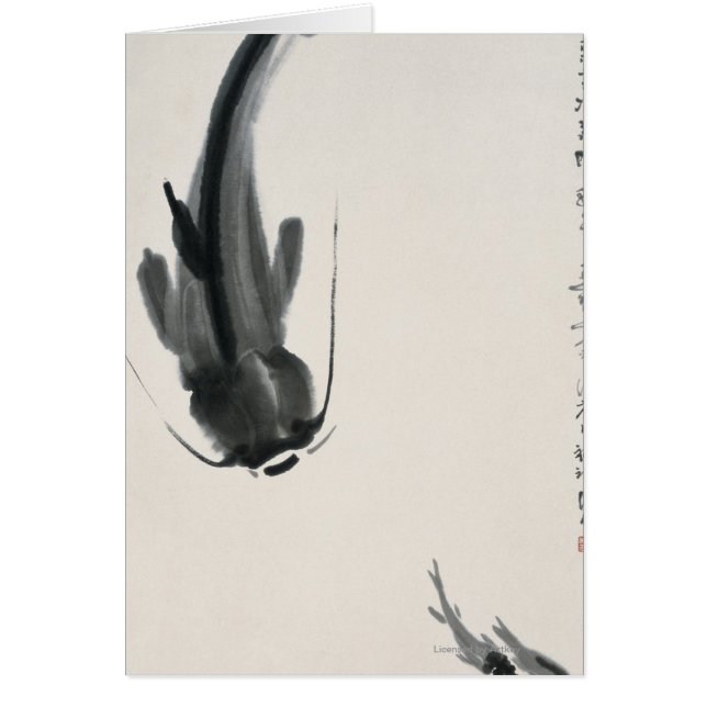 Siluro chino (Frente)