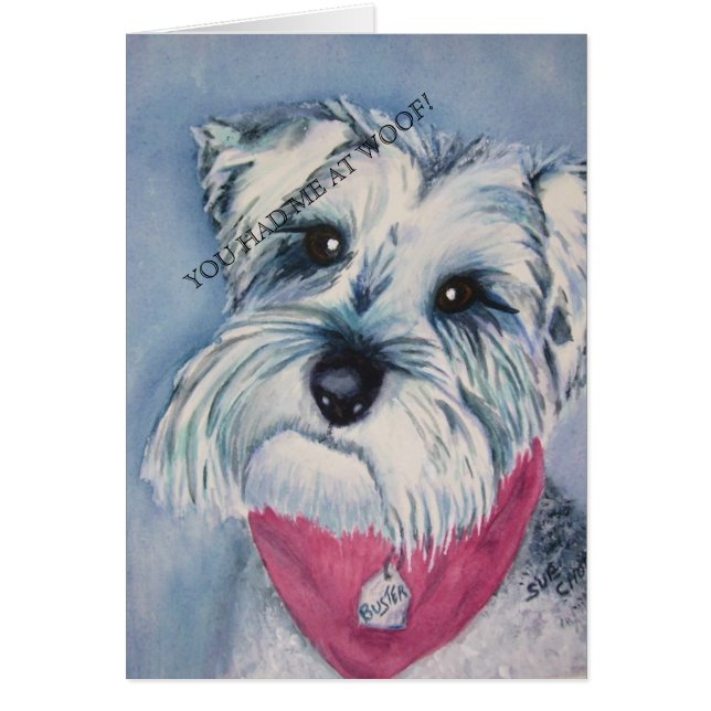 SILVER SCHNAUZER (Frente)