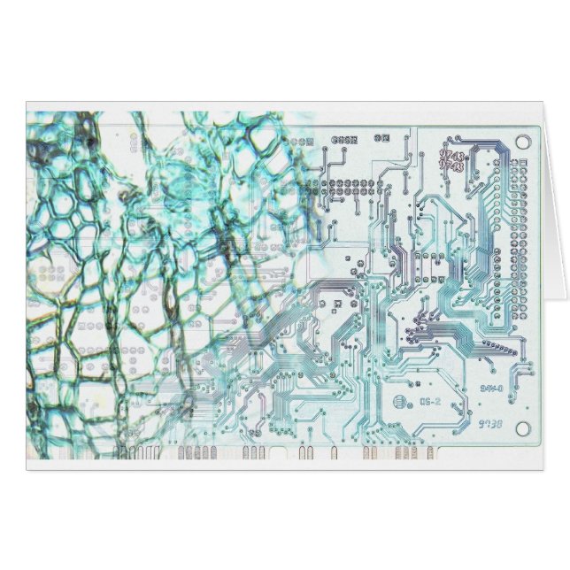 simbiosis - concepto (Anverso (Horizontal))