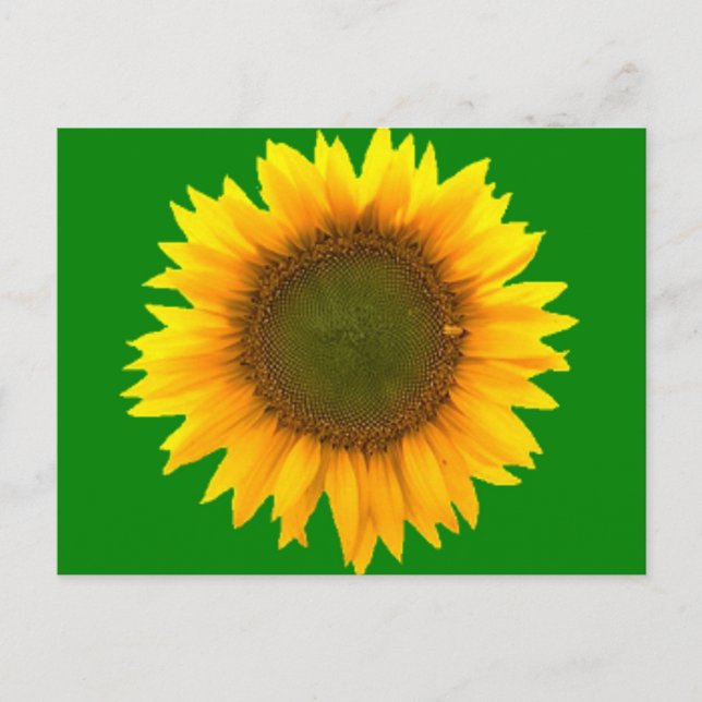 Simbolismo de la tarjeta postal ligera (Anverso)