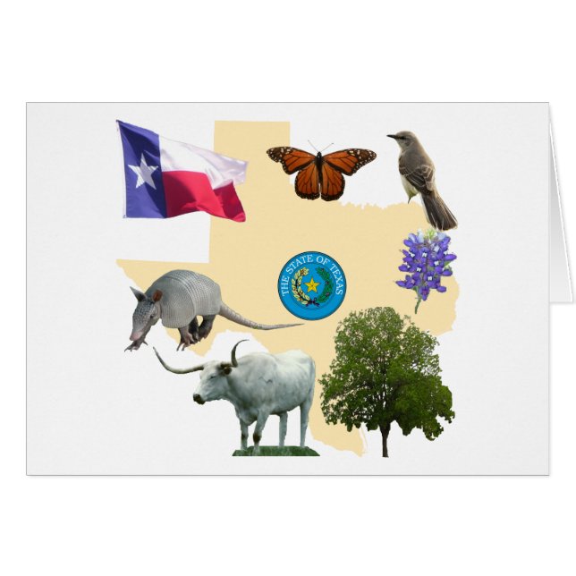 Símbolos del Estado de Texas (Anverso (Horizontal))