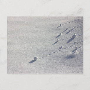 Simon Dice Postal CC0077