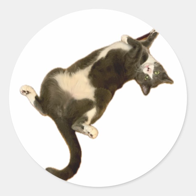 Simon Pegatina - ¡Jugando! (Anverso)