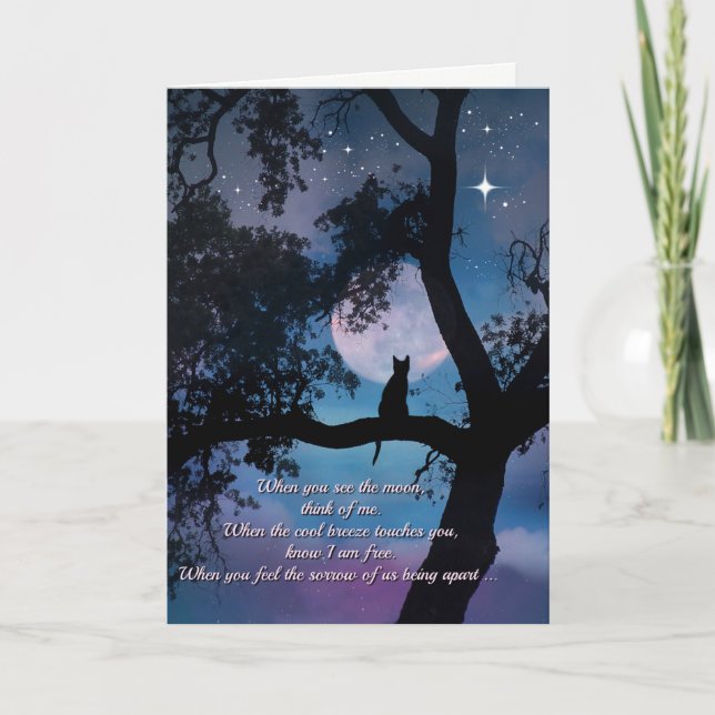 Simpatía con el gato, pérdida de la tarjeta del ga (Anverso)