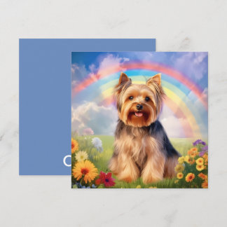 Simpatía de Yorkshire Terrier Rainbow Bridge Yorki